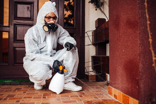 Reliable Cockroach Control contractor in Williston, ND by Nex Pest Control